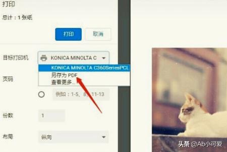圖片轉(zhuǎn)換成PDF不清晰怎么辦？  第3張